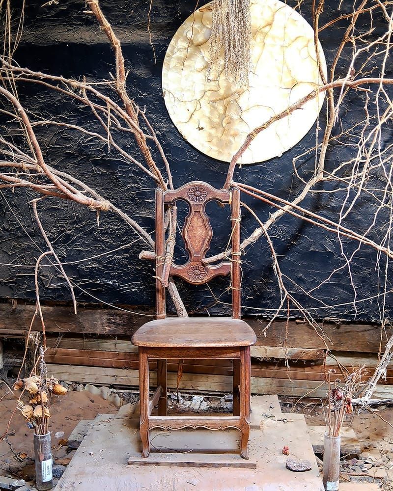 Wings Of Wood Photography Art | Xan Blood Walker Fine Art Photography