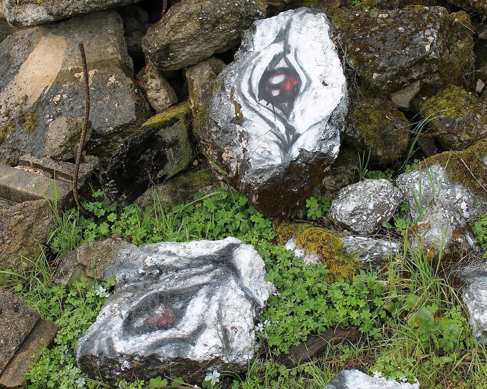 The Eyes Of Nature Albany Photography Art | Xan Blood Walker Fine Art Photography