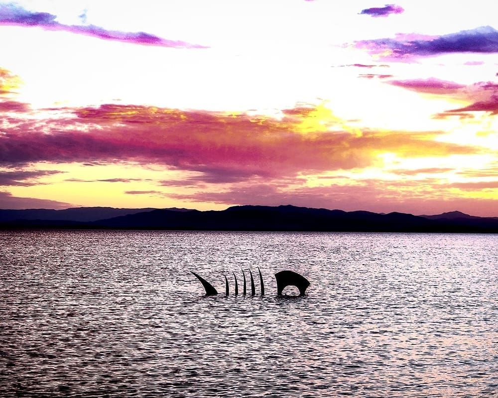 The Judyth Fish At Sunset Photography Art | Xan Blood Walker Fine Art Photography