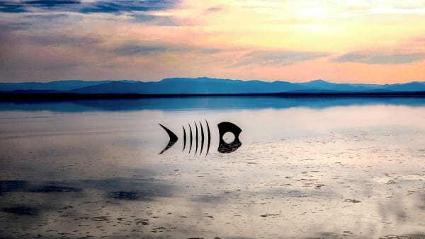 The Judyth Fish At Dusk Photography Art | Xan Blood Walker Fine Art Photography