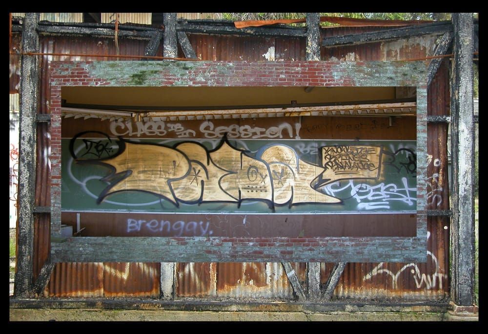 Class Is In Session Photograph for Sale as Fine Art