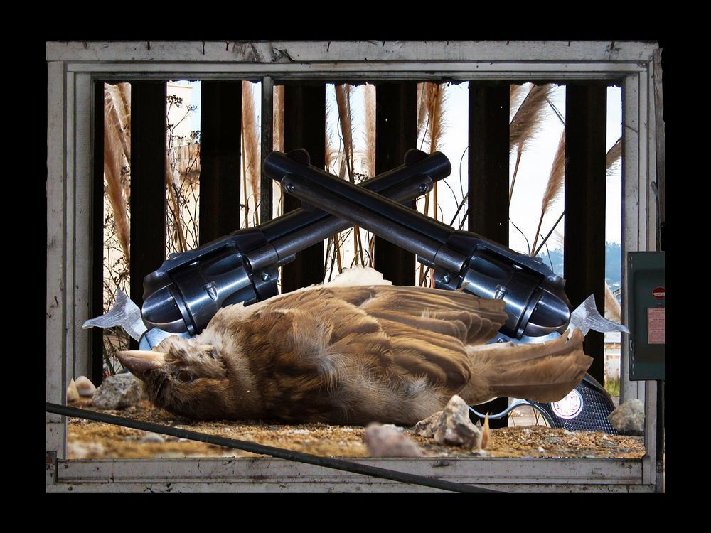 Never Forgotten Photograph for Sale as Fine Art