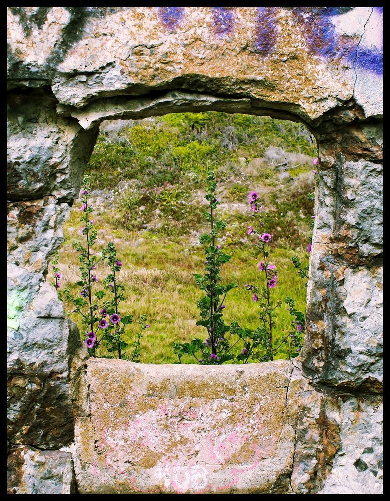 Sutro Baths Portal Consignment Photography Art | Xan Blood Walker Fine Art Photography