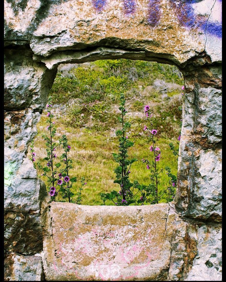 Sutro Baths Portal Consignment Photography Art | Xan Blood Walker Fine Art Photography