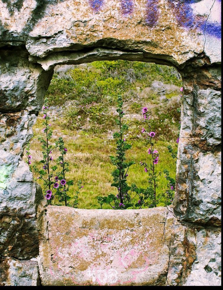 Sutro Baths Portal Consignment Photography Art | Xan Blood Walker Fine Art Photography