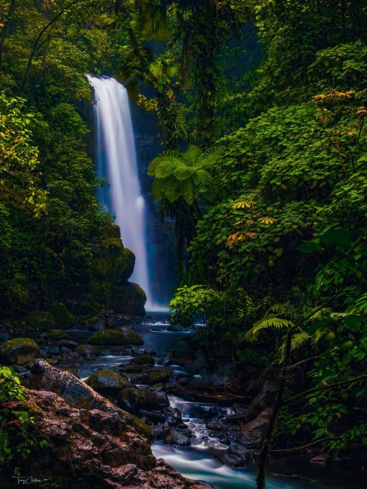 Master La Paz Waterfall Art | Fiovida Studio & Art Gallery