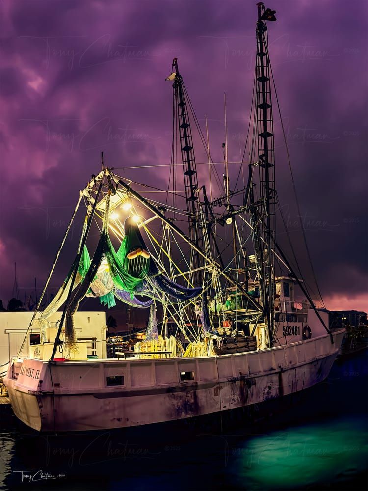 Miss Key West Art | Fiovida Studio & Art Gallery
