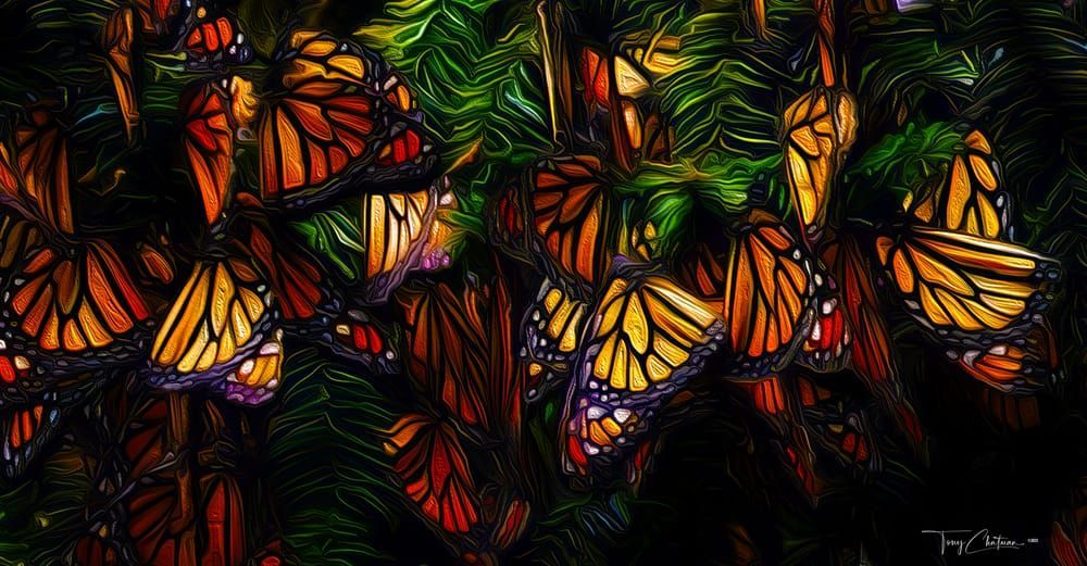 OPEN EDITIONS-Wild Lives – Creatures of the Land and Sea