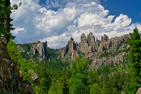Black Hills Needles Vista