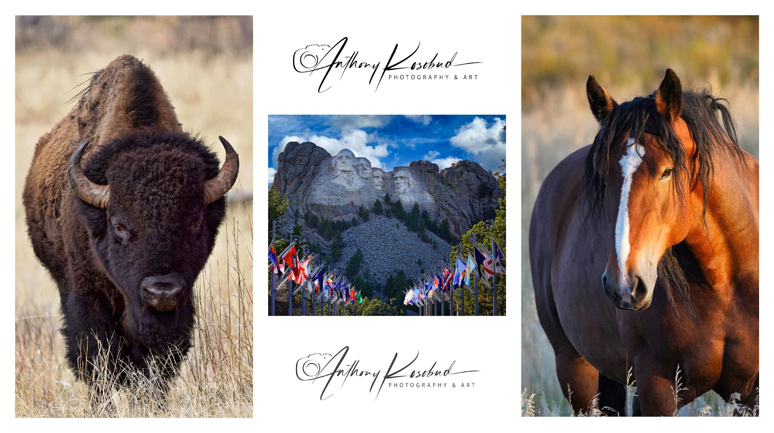 
        <div class='title'>
          AKP Banner #1 AKP
        </div>
       