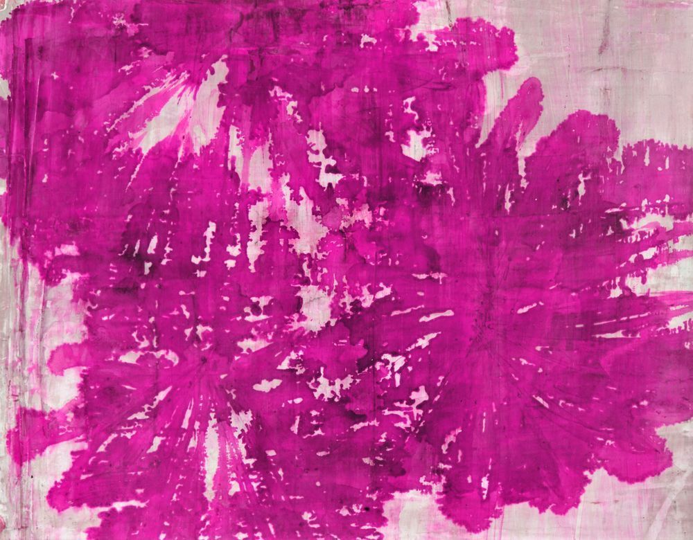 Big Bloom:  Magenta Art | Lisa T, LLC dba Studio Artistica