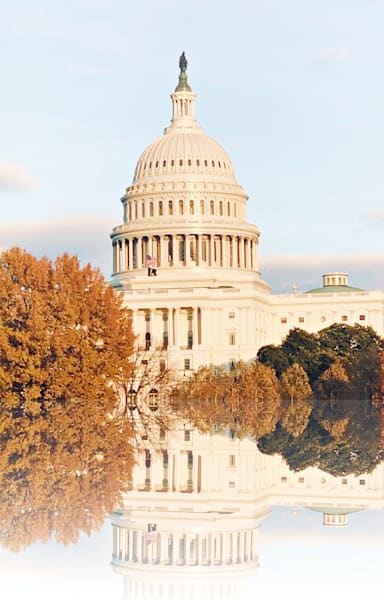 Capital Reflections Art | Studio Artistica Lisa T, LLC