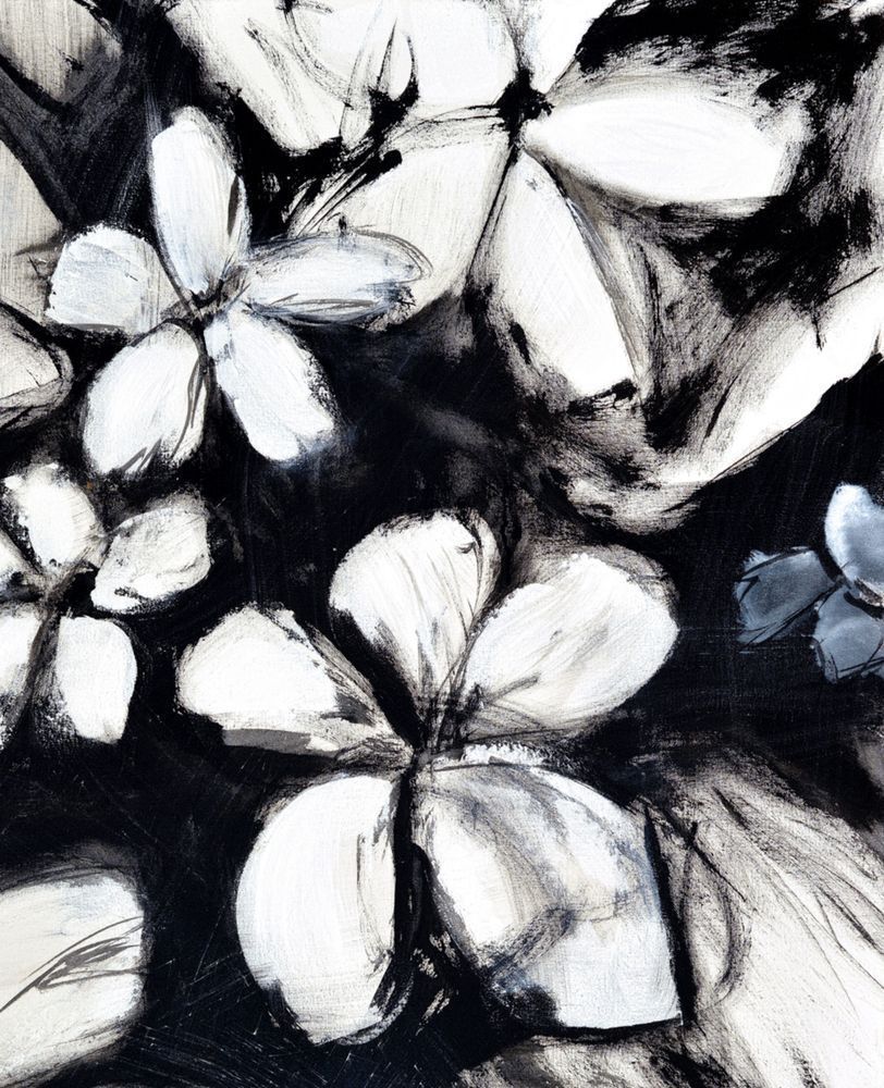 Black & White Blizzard Ii Art | Lisa T, LLC dba Studio Artistica