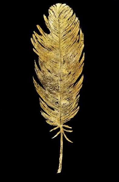 Gold Feather Ii Art | Studio Artistica Lisa T, LLC