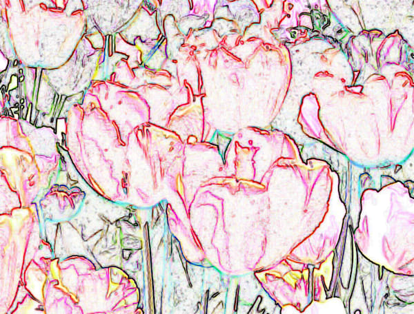 Edges Of Tulips Art | Studio Artistica Lisa T, LLC