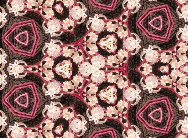 Z Patterned & Playful: Dahlia Art | Lisa T, LLC dba Studio Artistica