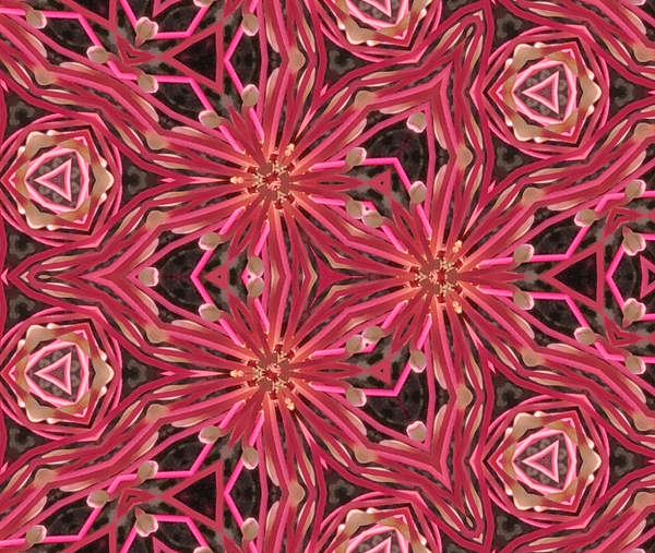 Z Patterned & Playful: Cherry Wine Art | Lisa T, LLC dba Studio Artistica