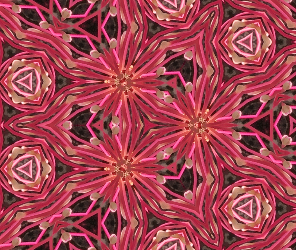 Z Patterned & Playful: Cherry Wine Art | Lisa T, LLC dba Studio Artistica