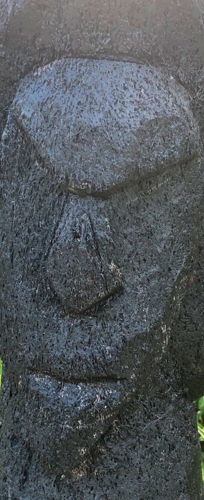 Faces From Fiji Art | Lisa T, LLC dba Studio Artistica