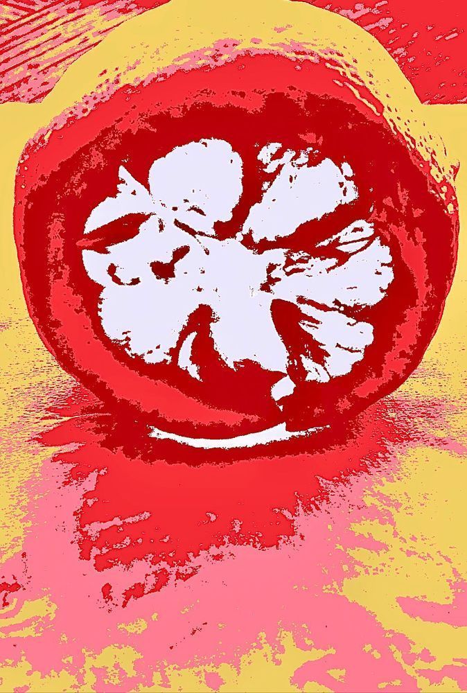 Pop Lemon Art | Lisa T, LLC dba Studio Artistica