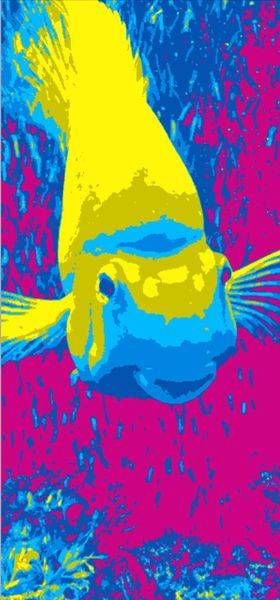 Pop Fish I Art | Lisa T, LLC dba Studio Artistica