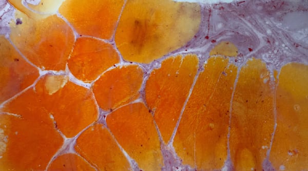 Let It Flow:  4513 Art | Studio Artistica Lisa T, LLC