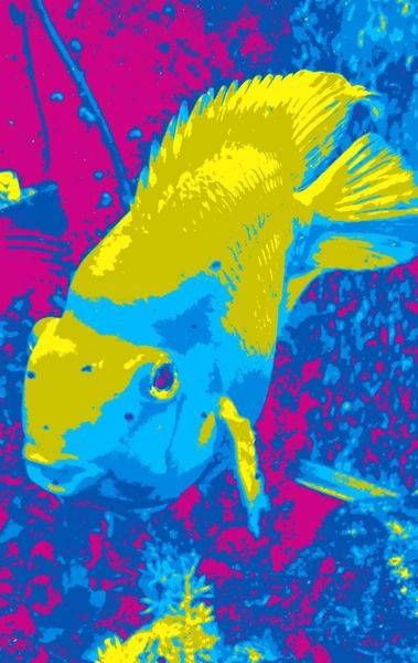 Pop Fish Ii Art | Lisa T, LLC dba Studio Artistica
