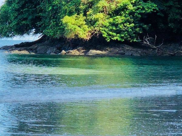 Reflections:  Emerald Art | Lisa T, LLC dba Studio Artistica