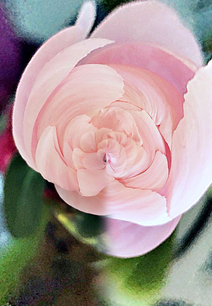 Pink Petals Art | Lisa T, LLC dba Studio Artistica
