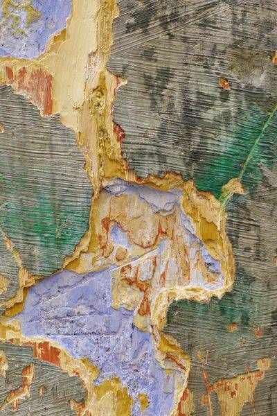 On The Rocks I Art | Lisa T, LLC dba Studio Artistica