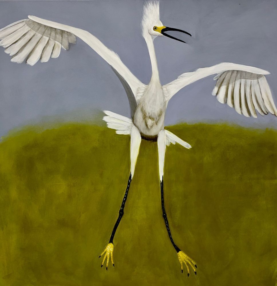 Taking Flight Art | Lisa T, LLC dba Studio Artistica