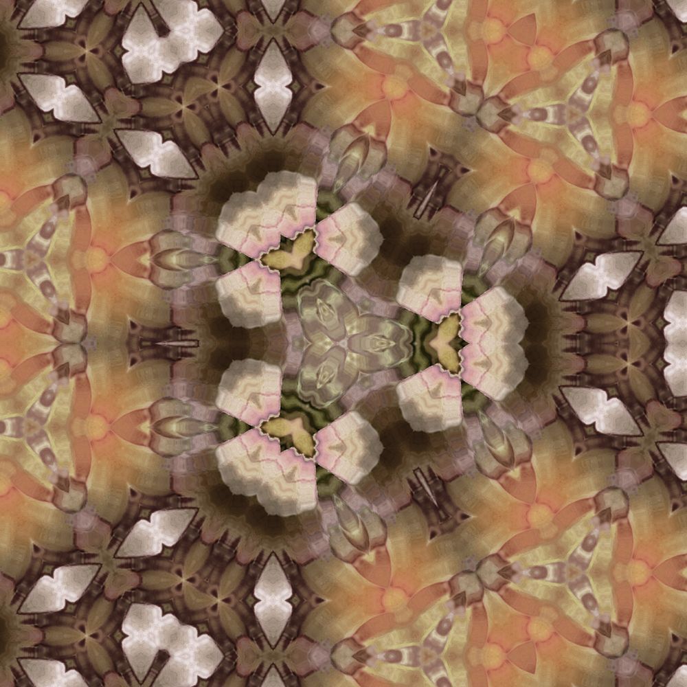 Patterned & Playful: Succulent Art | Lisa T, LLC dba Studio Artistica