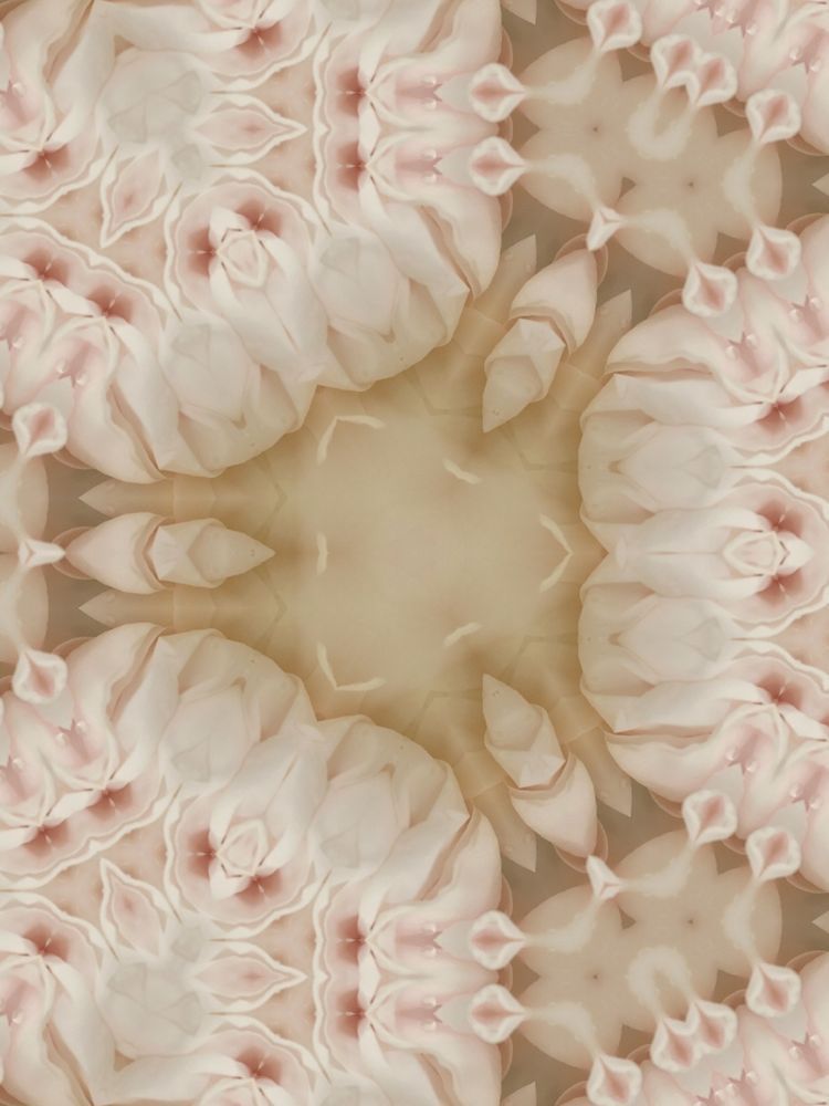 Z Patterned & Playful: Cappuccino Art | Lisa T, LLC dba Studio Artistica