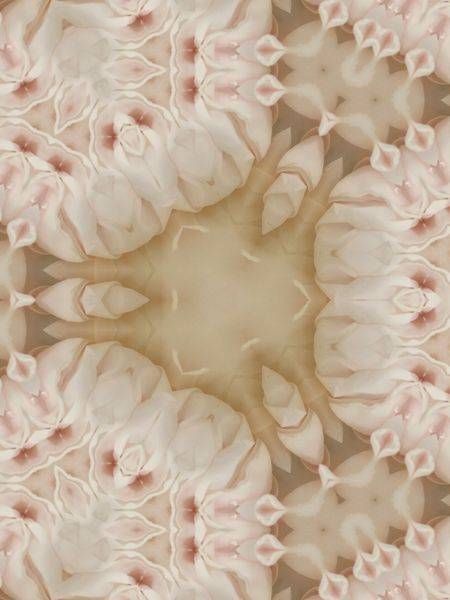 Z Patterned & Playful: Cappuccino Art | Lisa T, LLC dba Studio Artistica