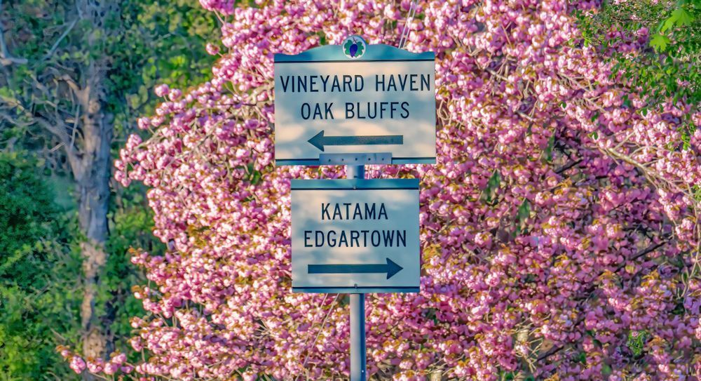 Menemsha Spring 2025 Art | Michael Blanchard Inspirational Photography - Crossroads Gallery