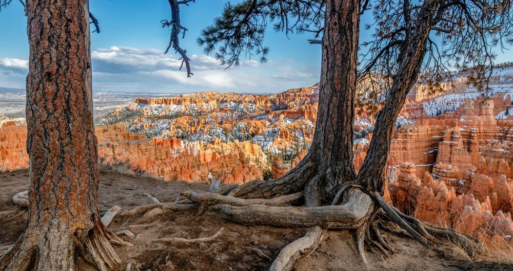 Bryce Canyon Winter Art | Michael Blanchard Inspirational Photography - Crossroads Gallery