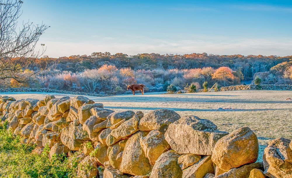 Brookside Farm Fall Frost Art | Michael Blanchard Inspirational Photography - Crossroads Gallery