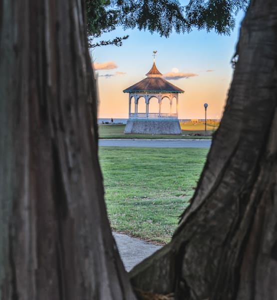 Bandstand Moon And Trees Art | Michael Blanchard Inspirational Photography - Crossroads Gallery