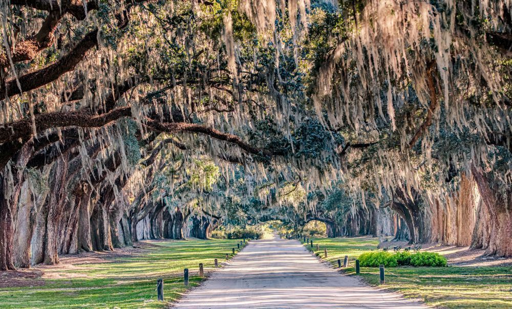 Boone Hall Plantation Art | Michael Blanchard Inspirational Photography - Crossroads Gallery
