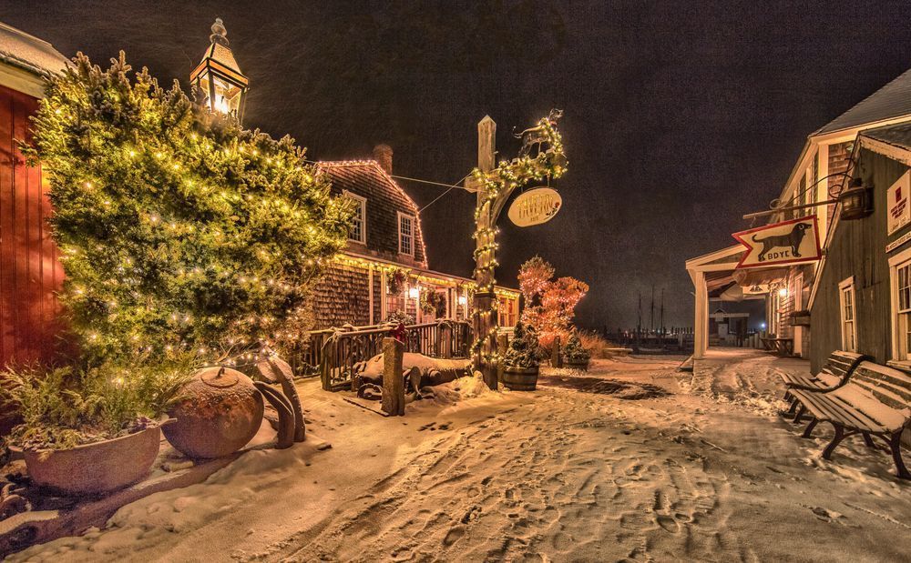 Black Dog Christmas Snow Art | Michael Blanchard Inspirational Photography - Crossroads Gallery
