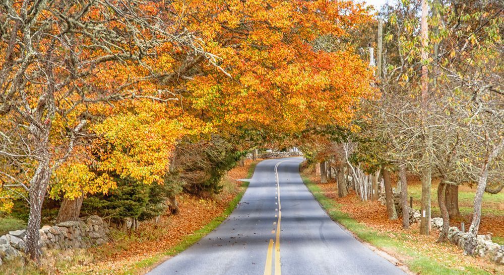 Chilmark Road Fall Leaves Art | Michael Blanchard Inspirational Photography - Crossroads Gallery