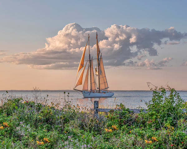 Alabama East Chop Flowers Art | Michael Blanchard Inspirational Photography - Crossroads Gallery