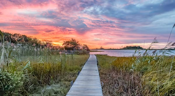 Farm Pond Path And Sunrise Art | Michael Blanchard Inspirational Photography - Crossroads Gallery