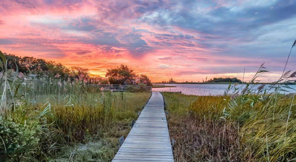 Farm Pond Path And Sunrise Art | Michael Blanchard Inspirational Photography - Crossroads Gallery