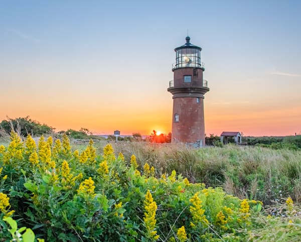 Gay Head Light Late Summer Ragweed Art | Michael Blanchard Inspirational Photography - Crossroads Gallery