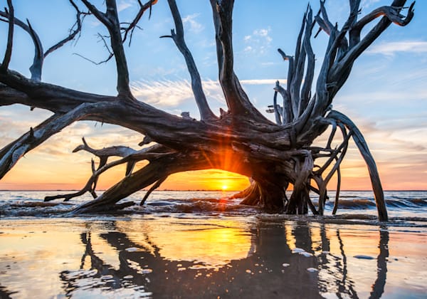 Driftwood Beach Jekyll Island Art | Michael Blanchard Inspirational Photography - Crossroads Gallery