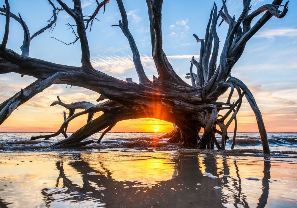 Driftwood Beach Jekyll Island Art | Michael Blanchard Inspirational Photography - Crossroads Gallery