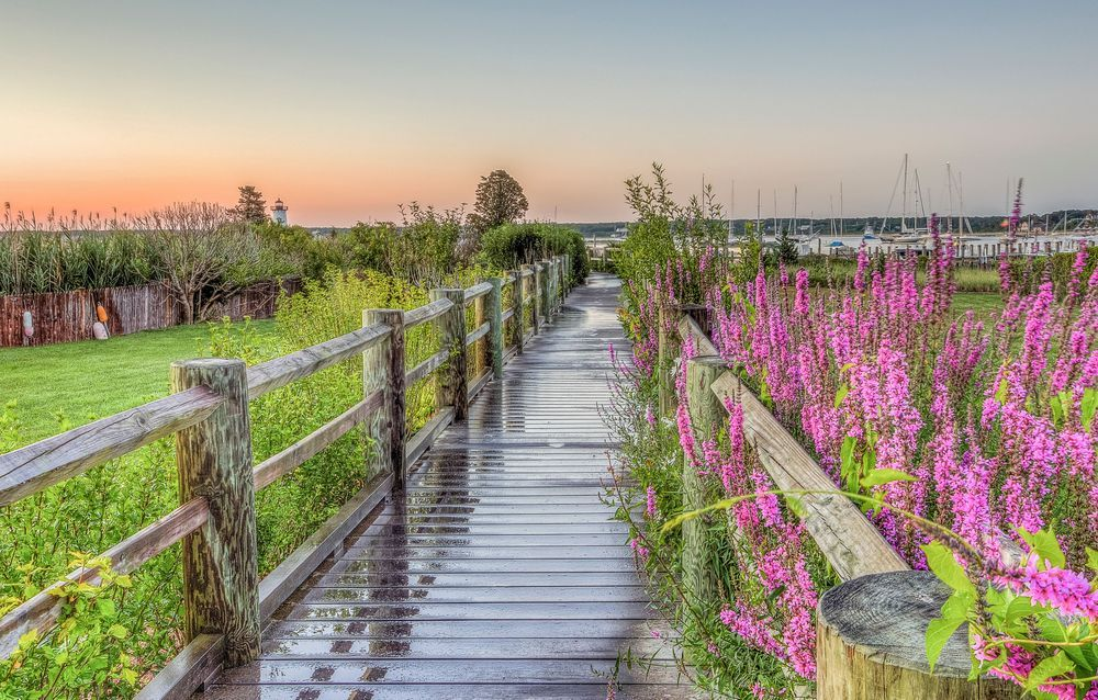 Edgartown Light Wakway Flowers Art | Michael Blanchard Inspirational Photography - Crossroads Gallery