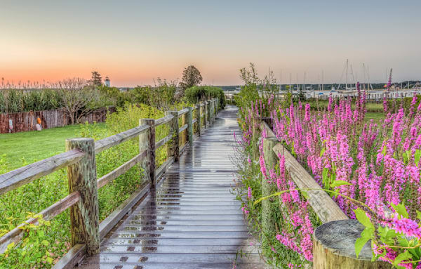 Edgartown Light Wakway Flowers Art | Michael Blanchard Inspirational Photography - Crossroads Gallery
