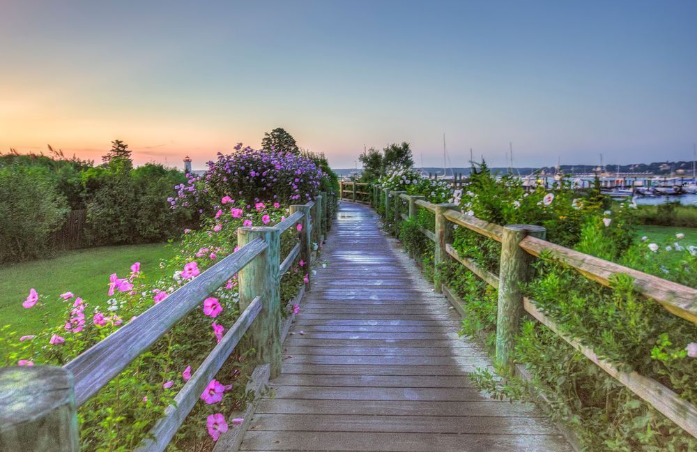 Edgartown Light Walkway Roses Art | Michael Blanchard Inspirational Photography - Crossroads Gallery